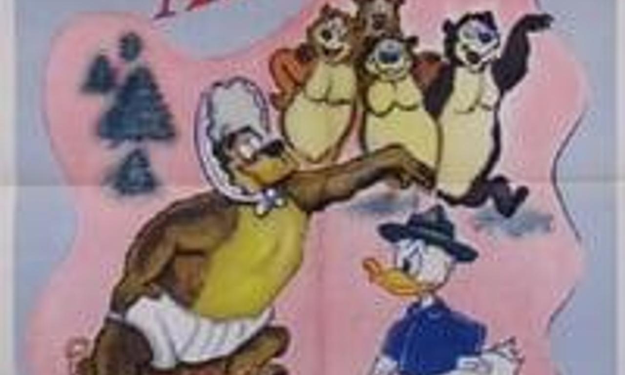 header image for Bearly Asleep