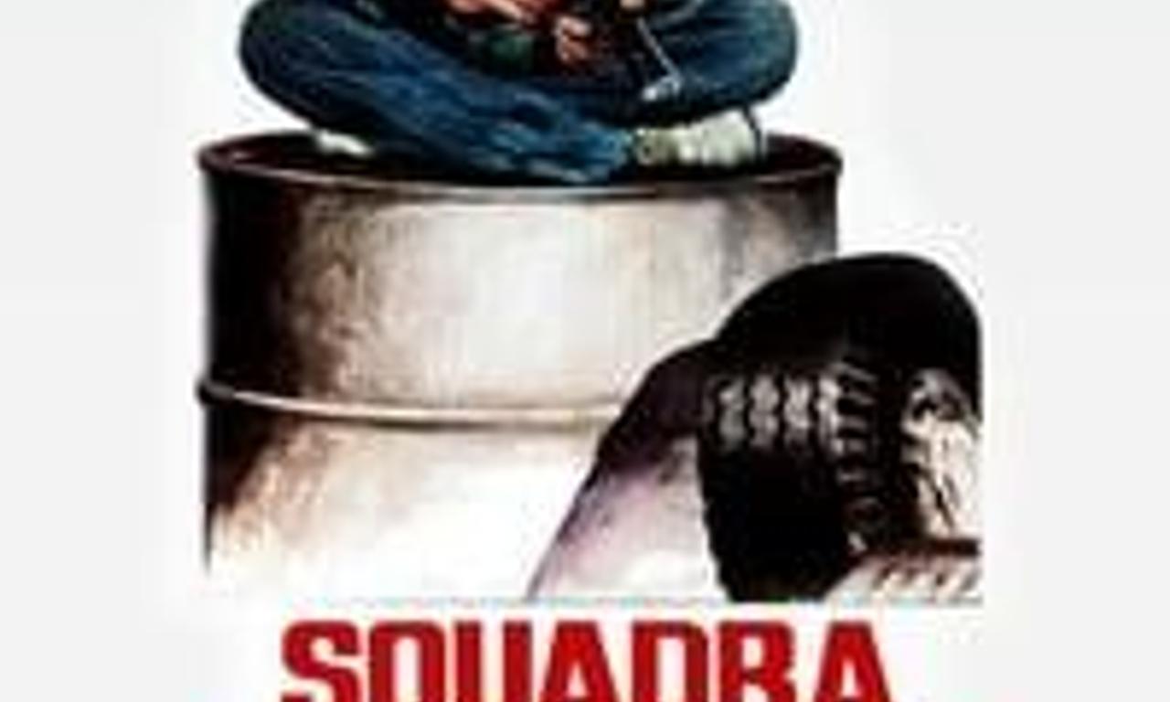 header image for Squadra antifurto