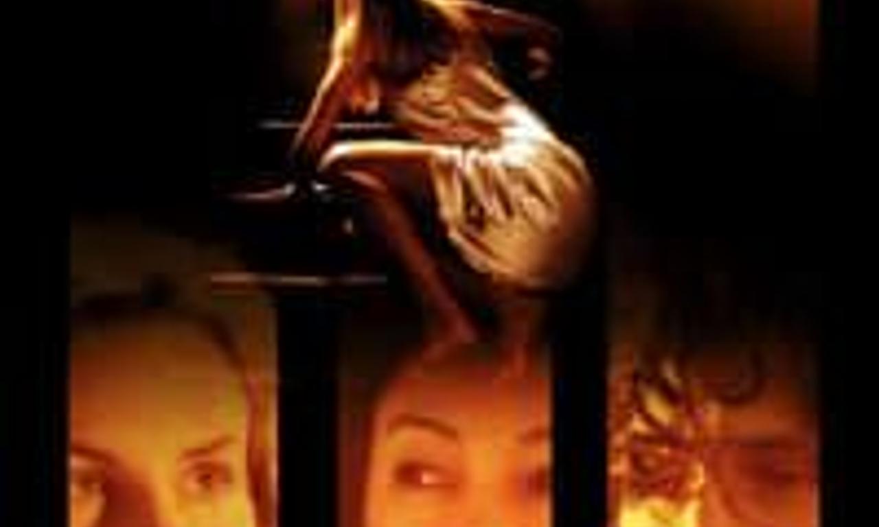 header image for Hide and Seek