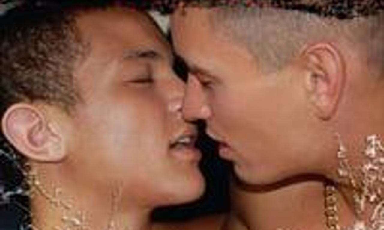 header image for Shank