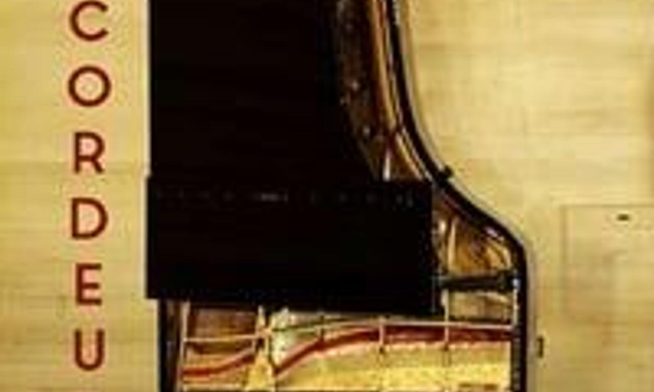 header image for The Piano Tuner