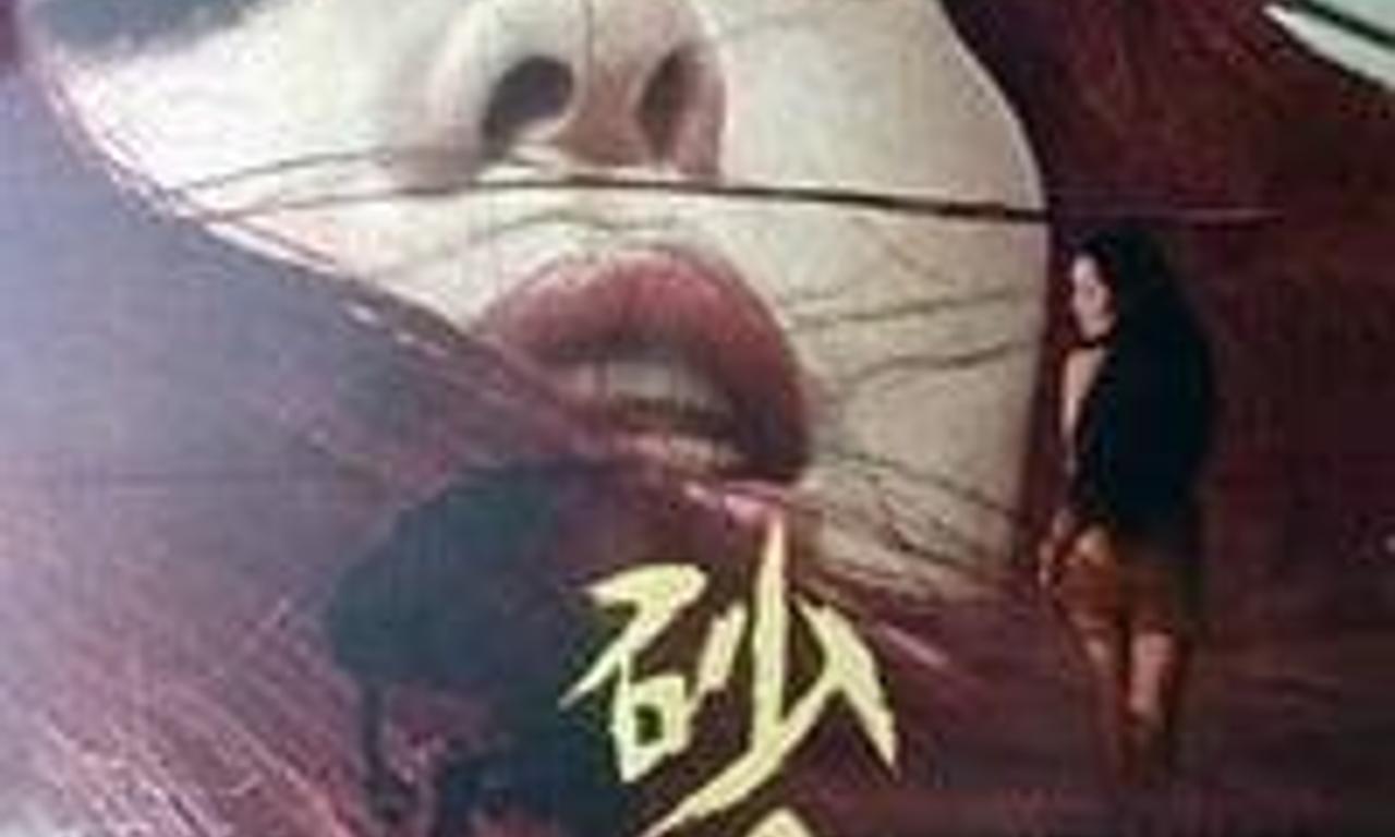 The Night of the Seagull Where to Watch and Stream Online