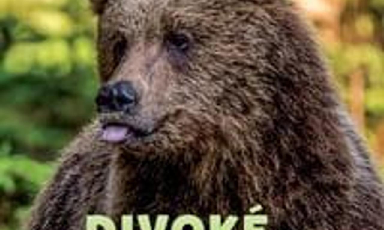 header image for Wild Slovakia