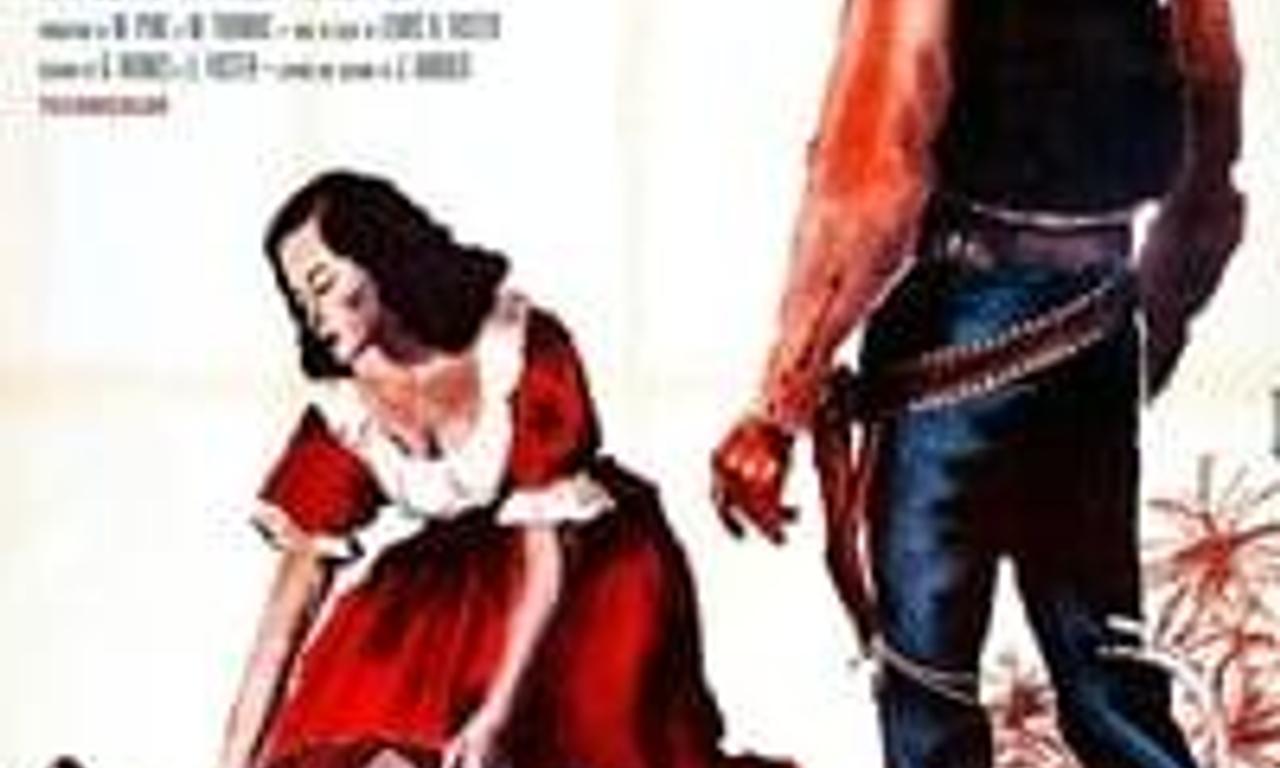 header image for The Eagle and the Hawk