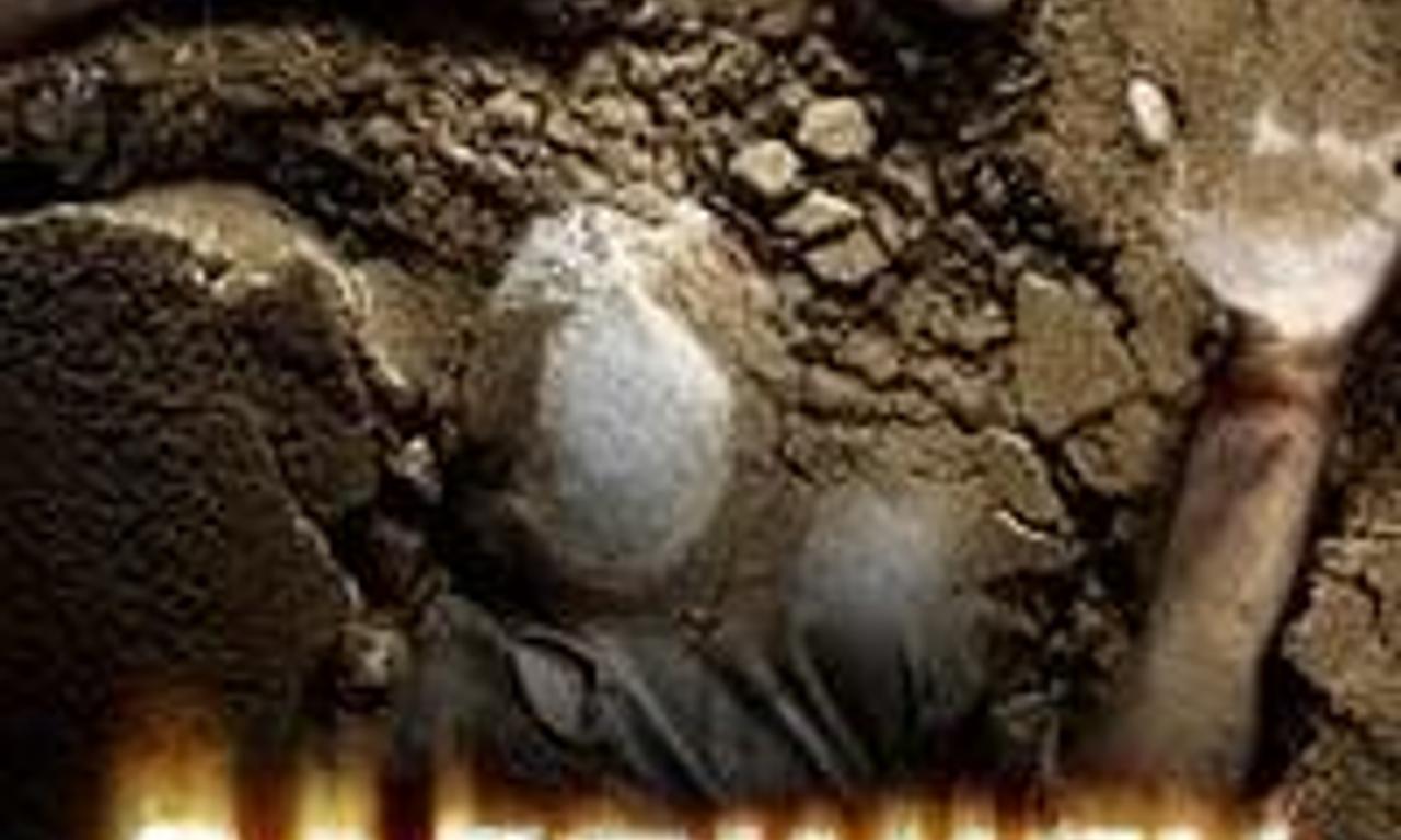 header image for Captivity