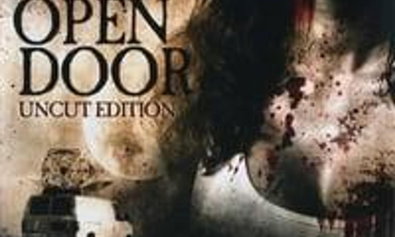 header image for The Open Door