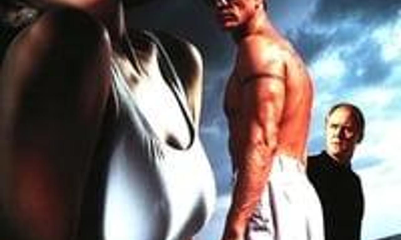 header image for Love, Cheat & Steal