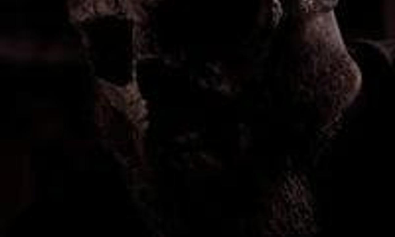 header image for The Basement