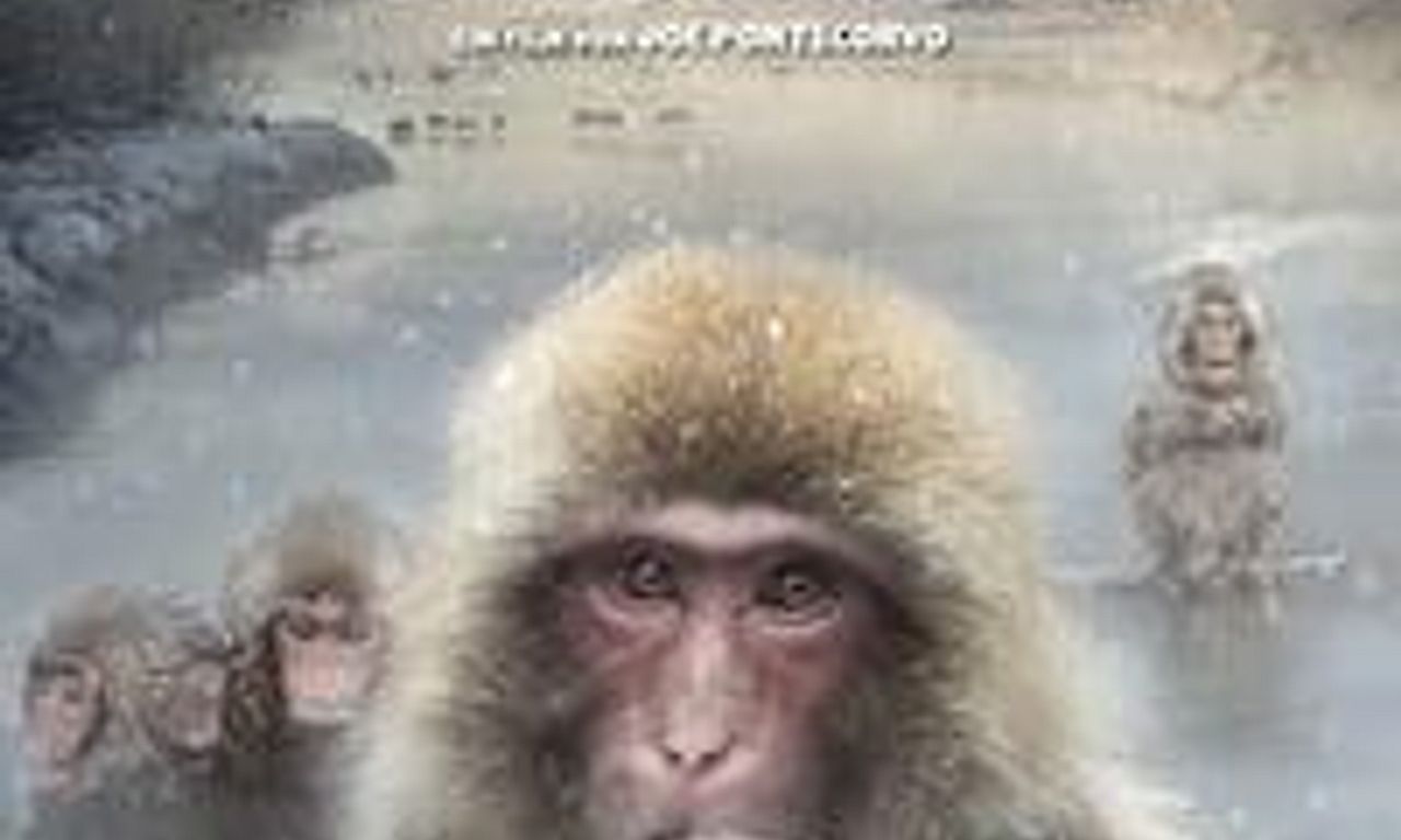 header image for Snow Monkeys