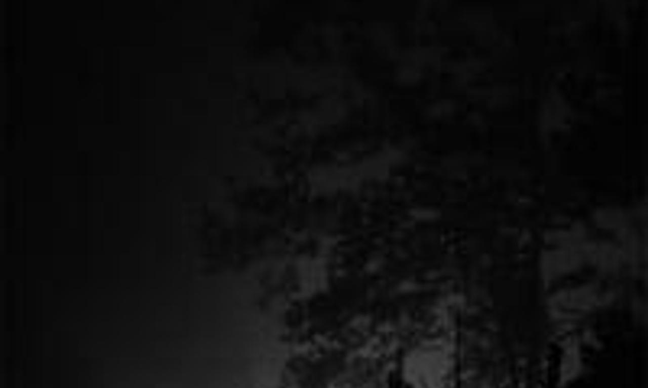 header image for Spring Night, Summer Night