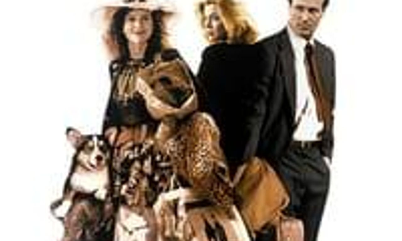 header image for The Accidental Tourist