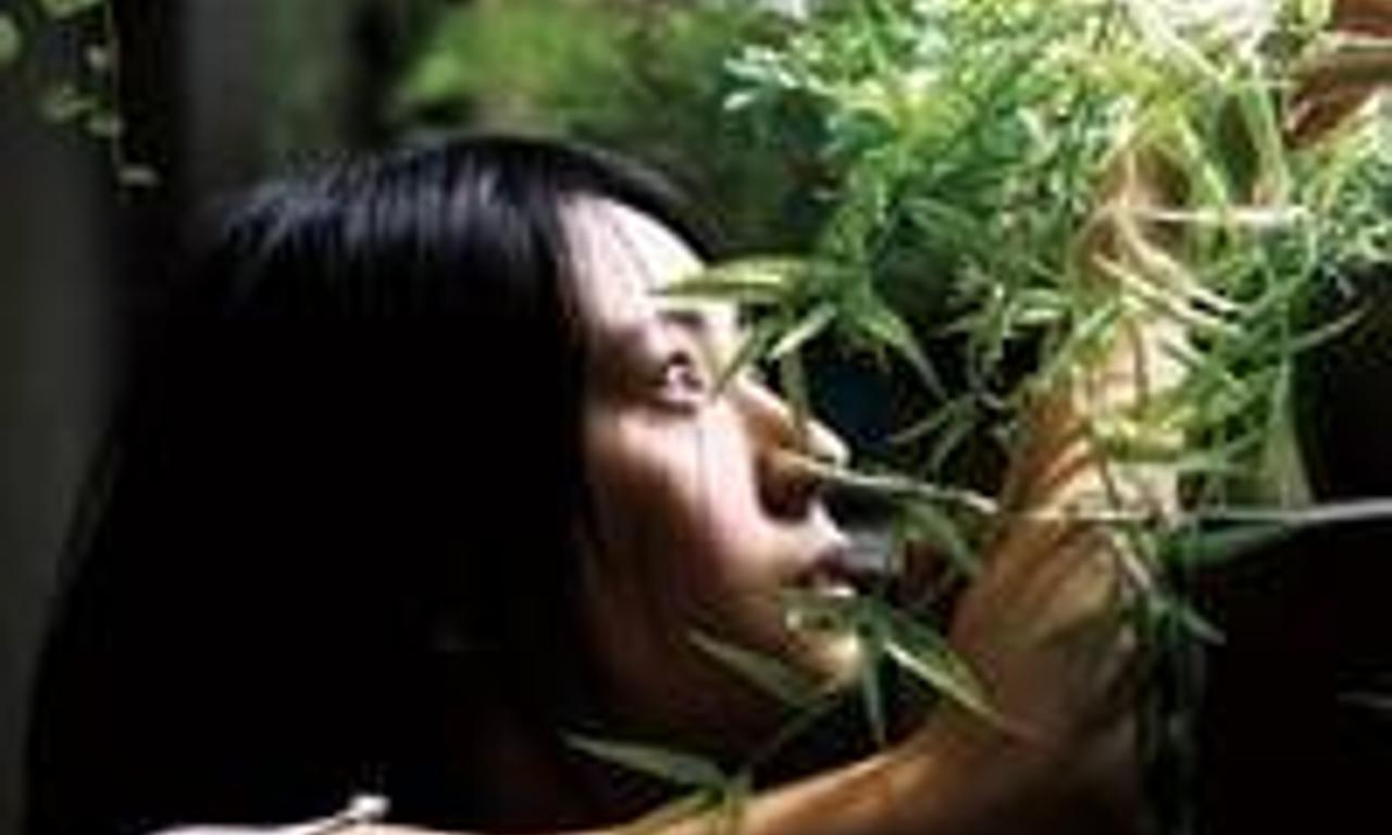 header image for The Uncle