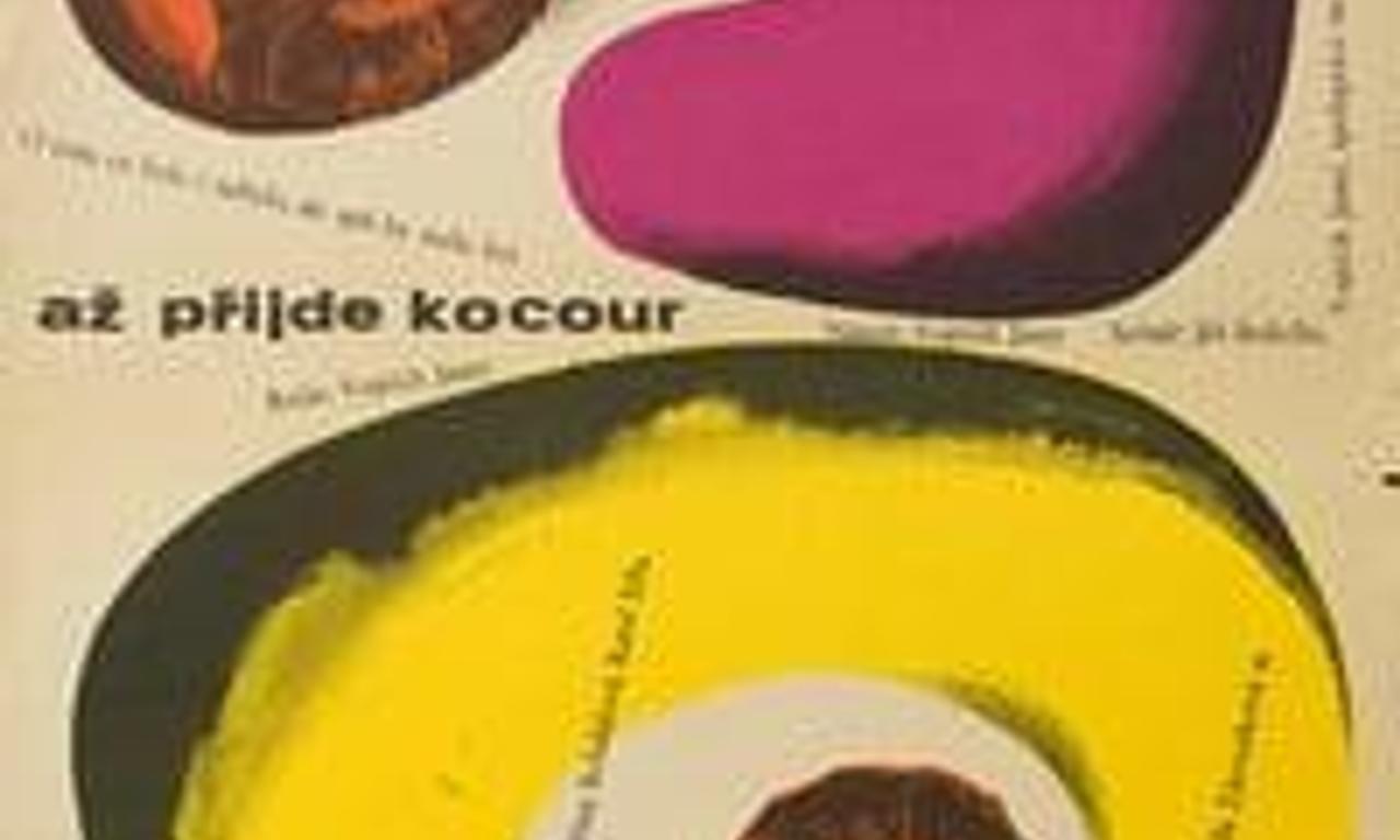 header image for When the Cat Comes