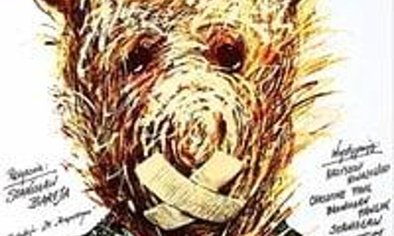 header image for Teddy Bear