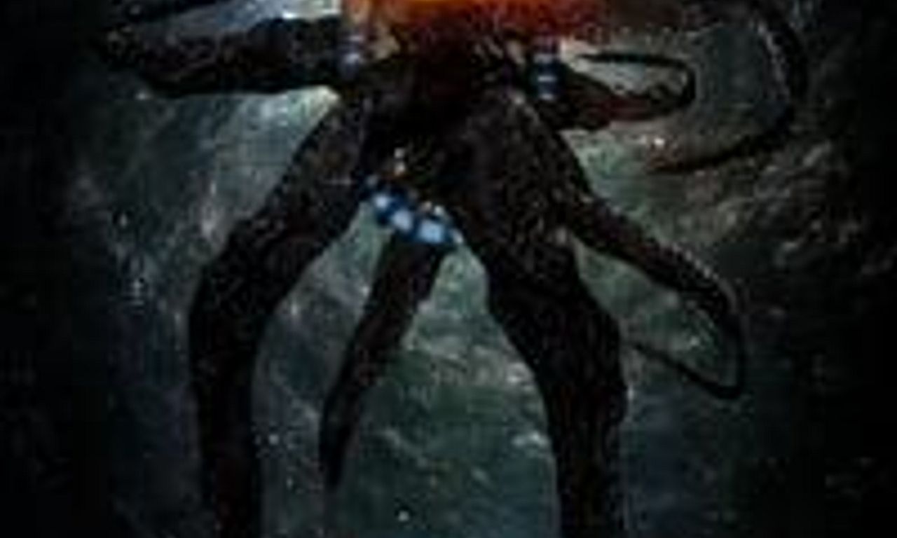 header image for Intersect