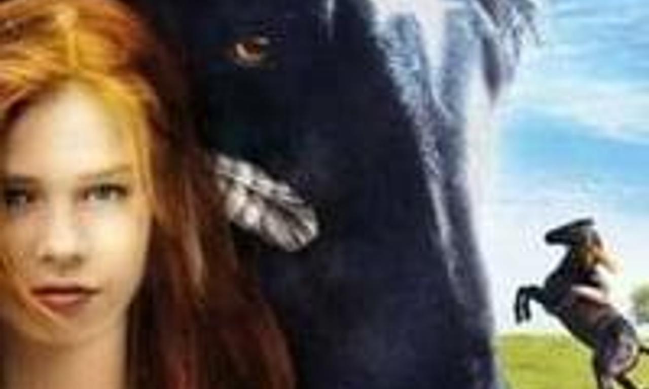 header image for Windstorm