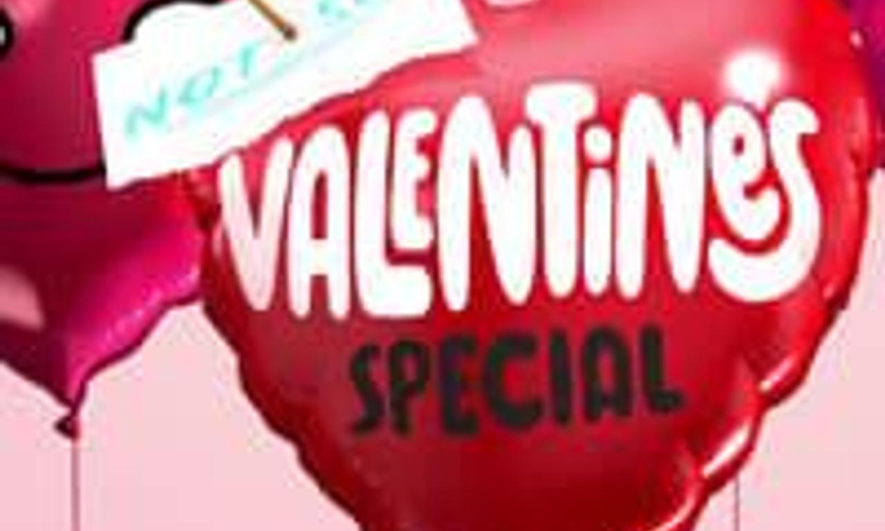 header image for Nickelodeon's Not So Valentine's Special