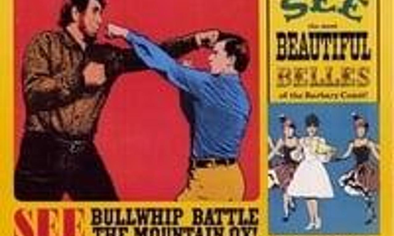 header image for The Adventures of Bullwhip Griffin