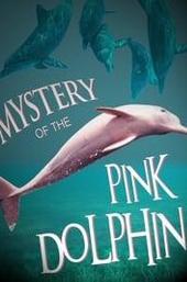 The Mystery of the Pink Dolphin