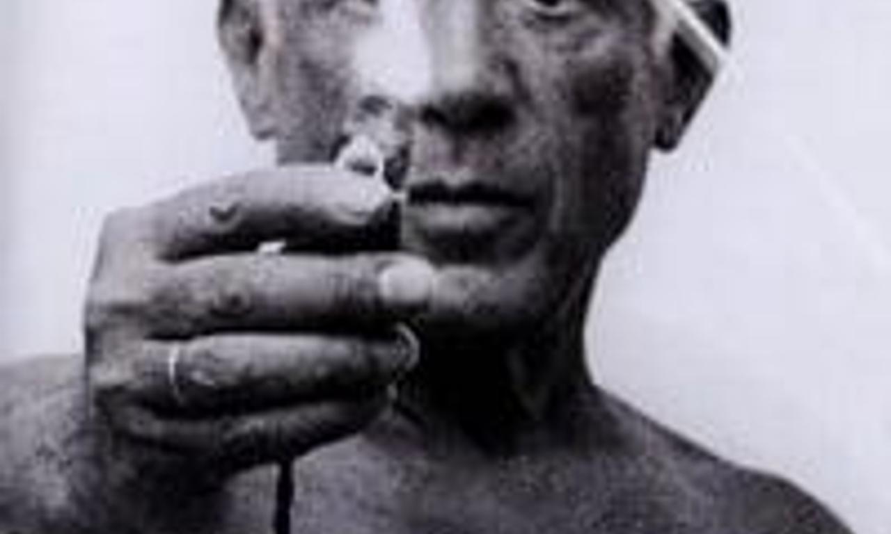 header image for Picasso, the Legacy