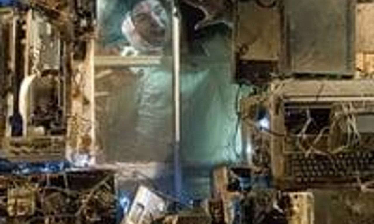 header image for Saint Bernard