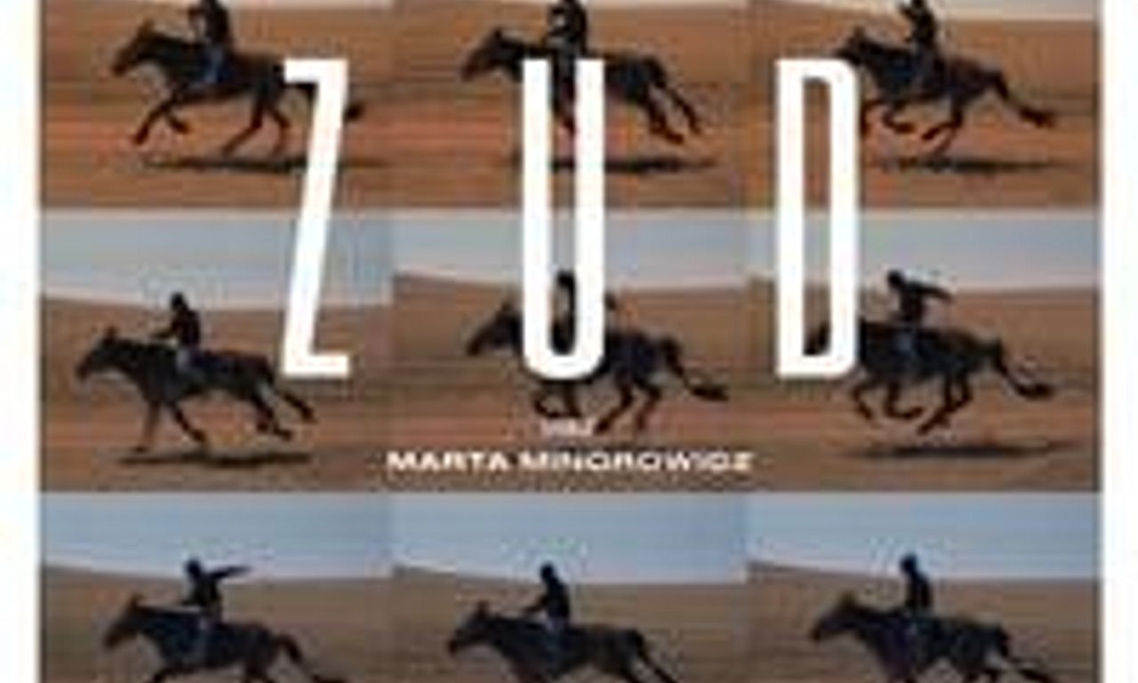 header image for Zud