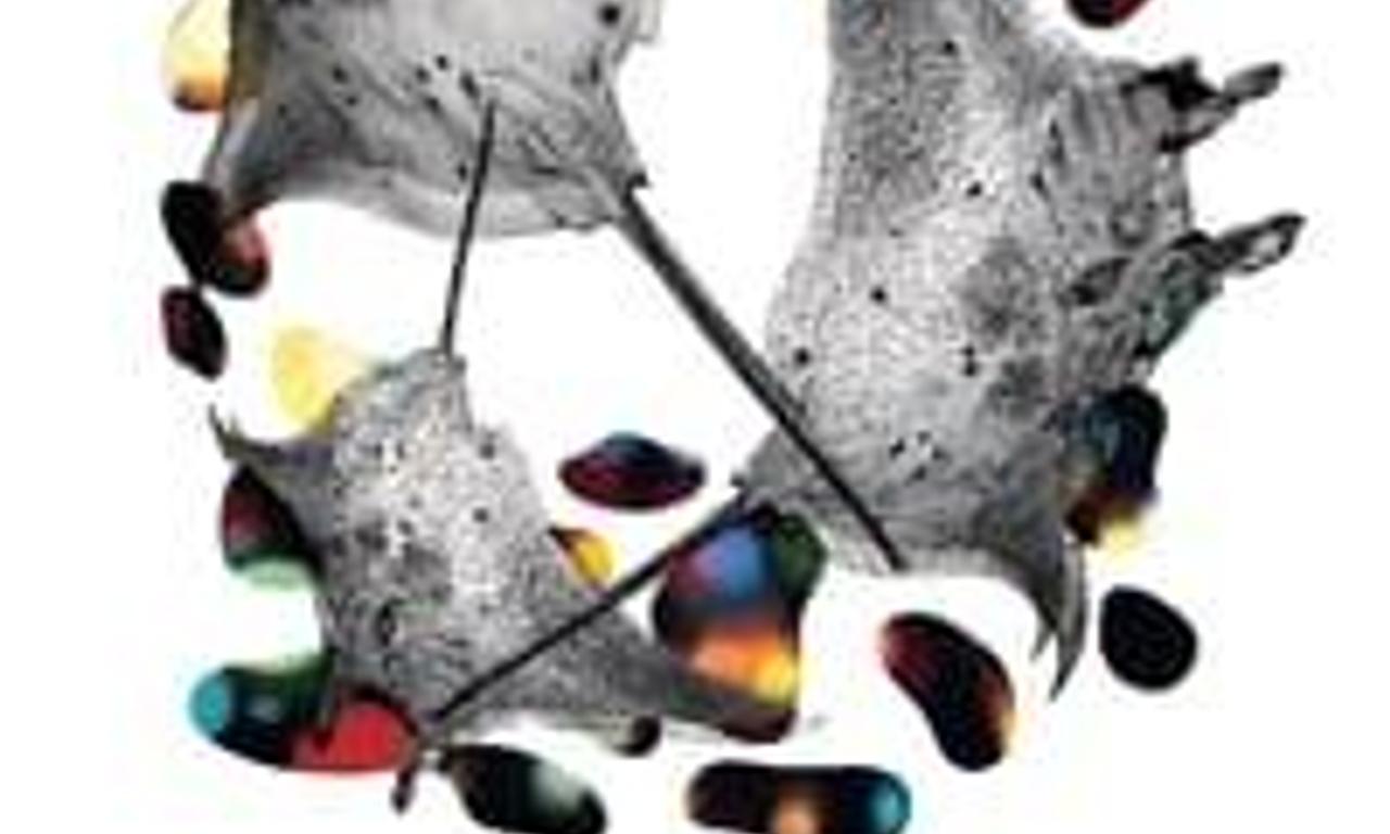 header image for Manta Ray