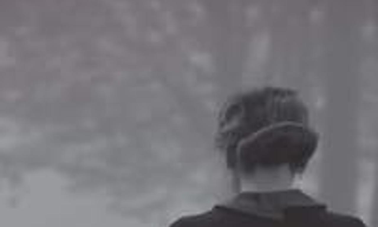 header image for The Diary of Diana B.