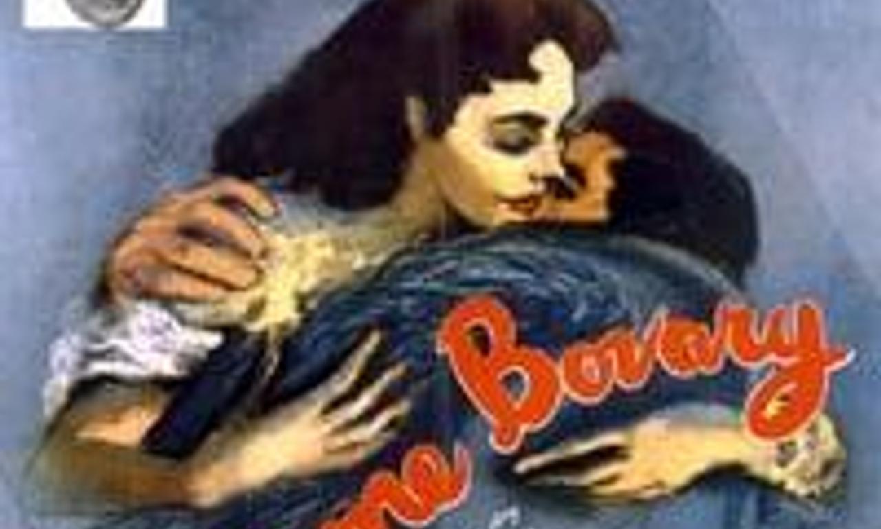 header image for Madame Bovary