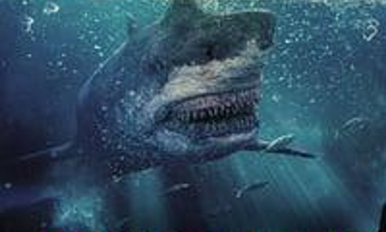 header image for Toxic Shark