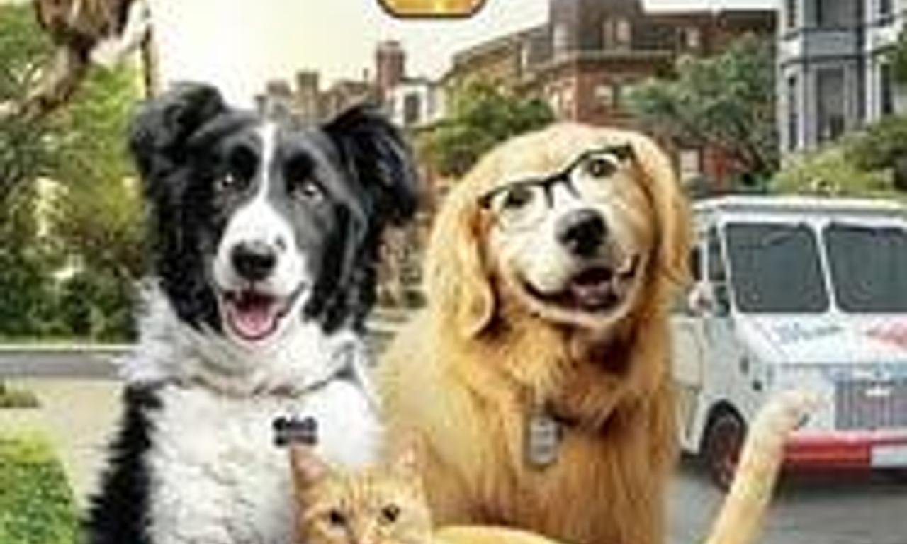 header image for Cats & Dogs: Paws Unite!