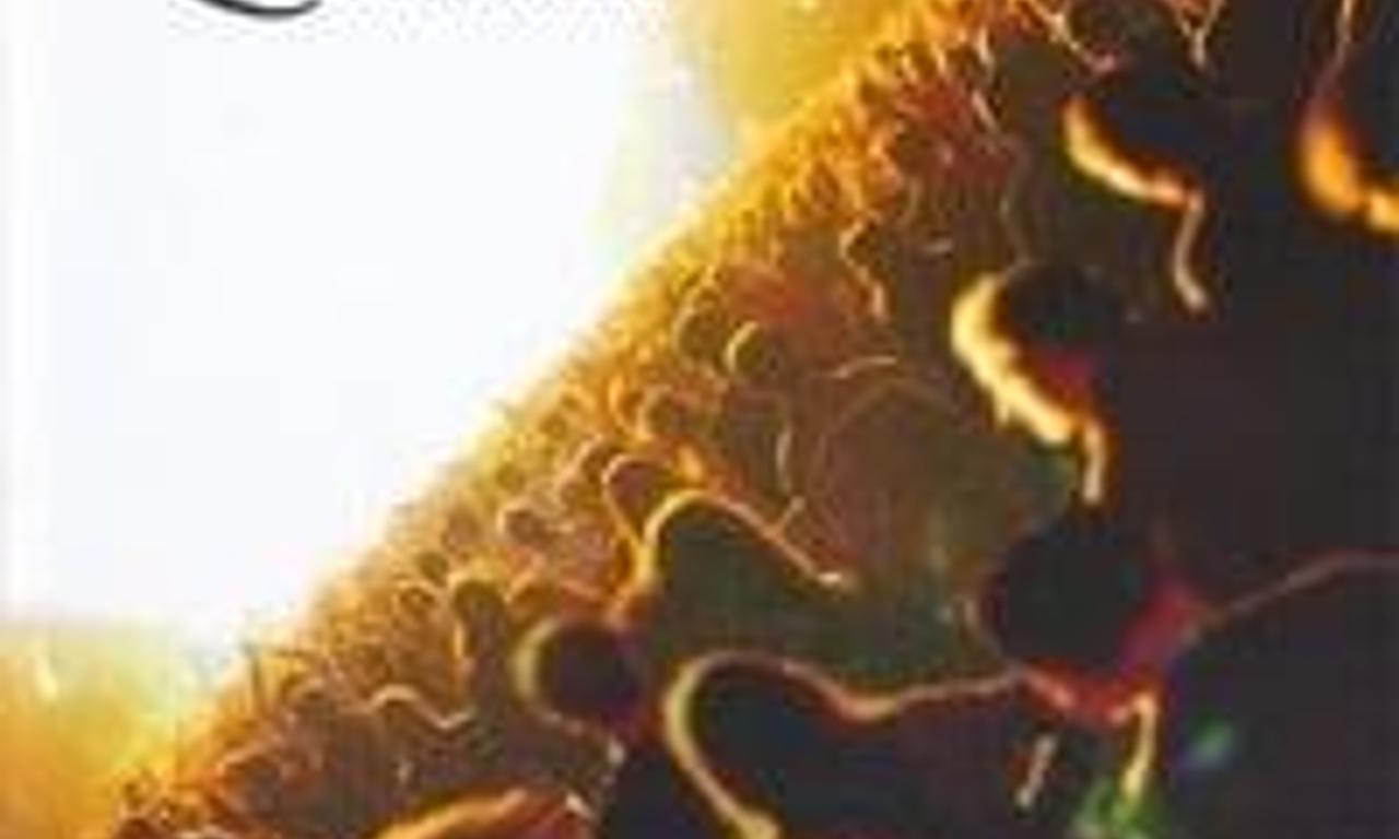 header image for Queen + Paul Rodgers: Return of the Champions