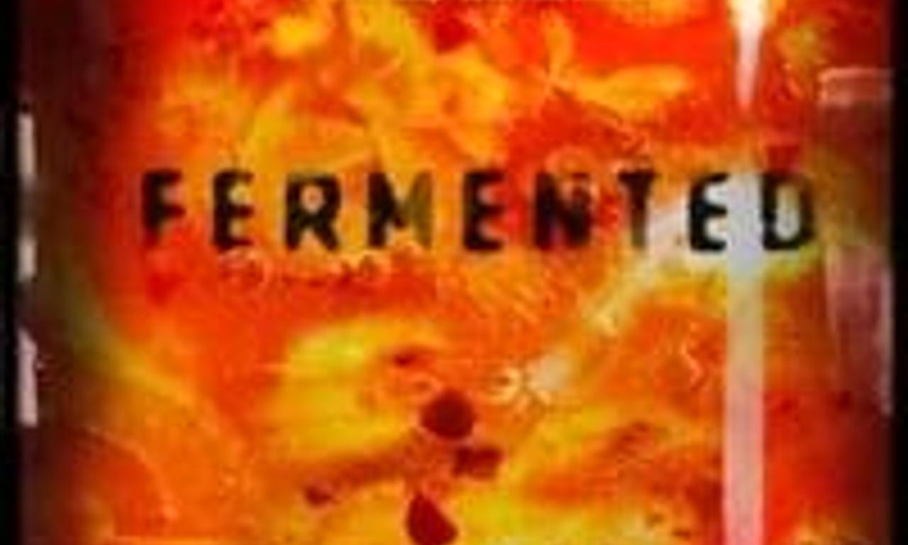 header image for Fermented