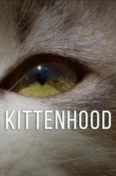 Kittenhood