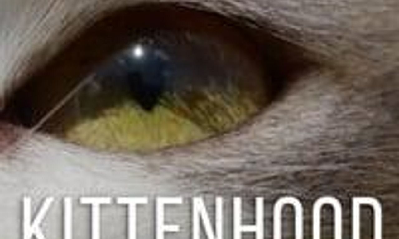 header image for Kittenhood
