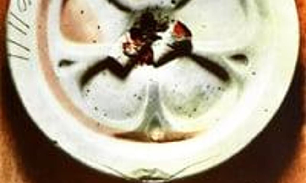 header image for Squandered Sunday