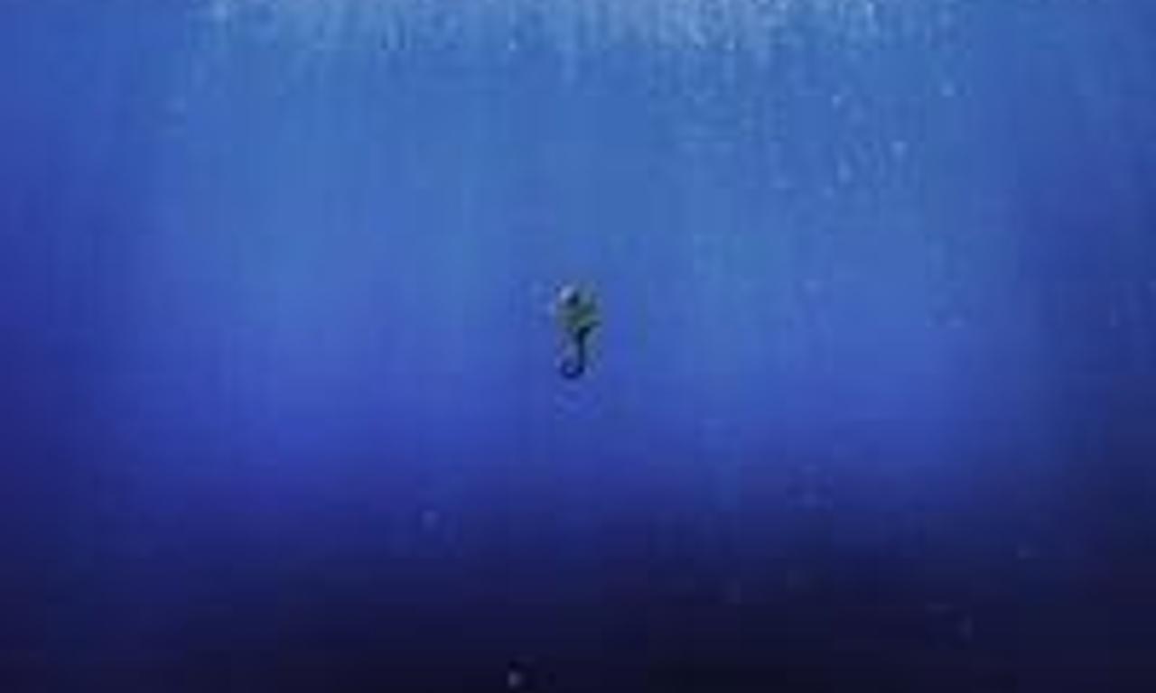 header image for Current Sea