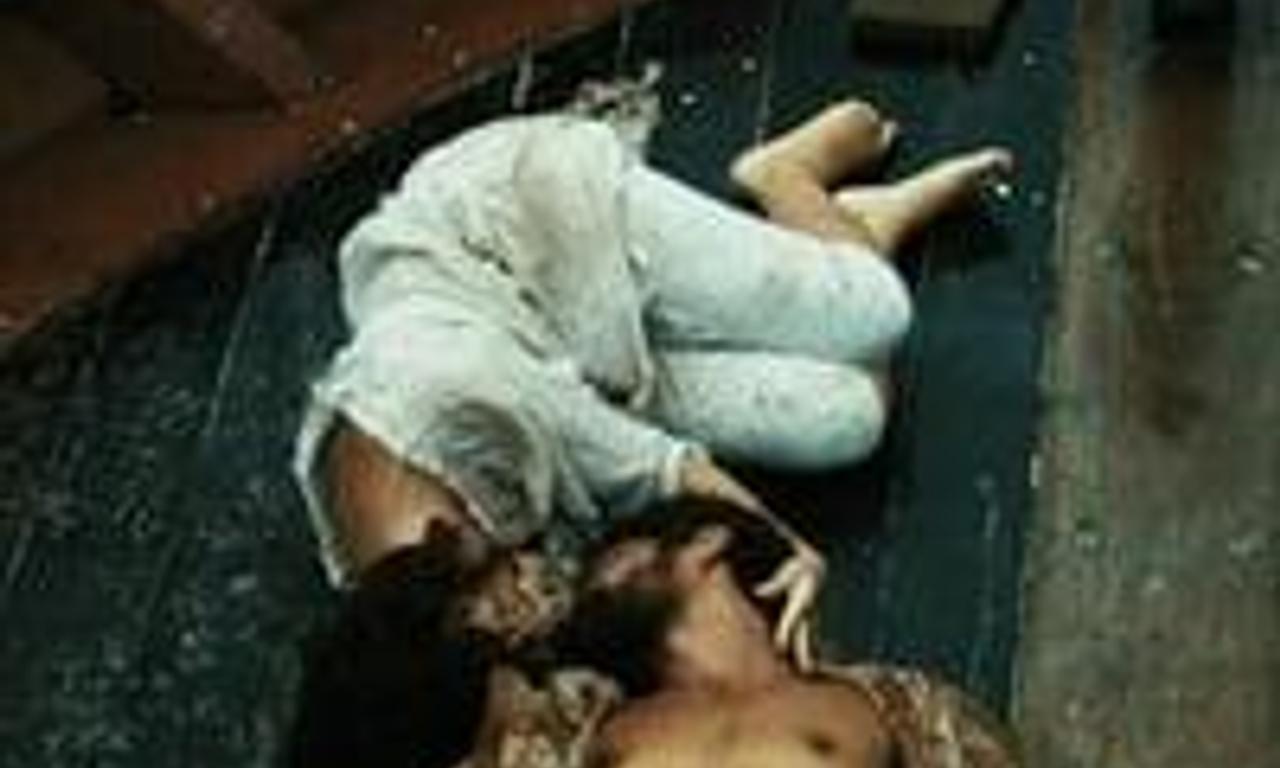 header image for The Boat