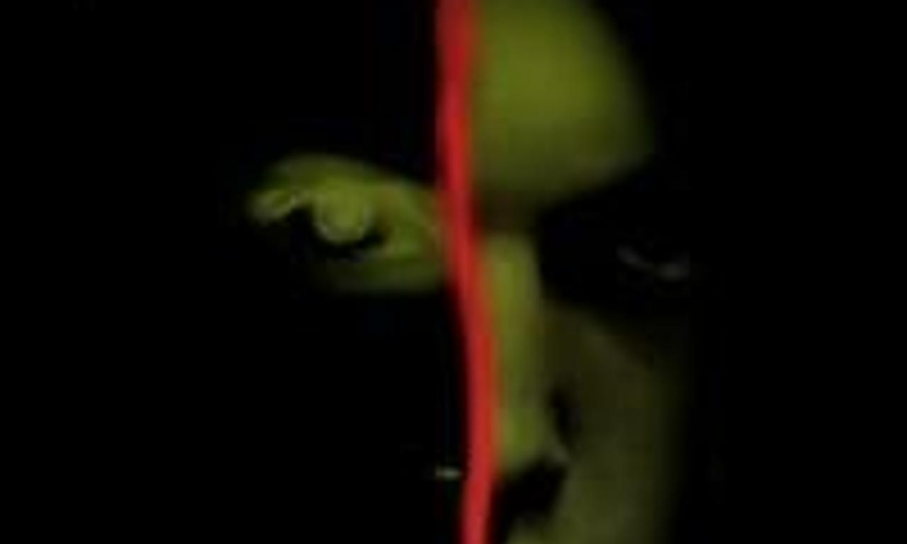 header image for Breaking Dawn