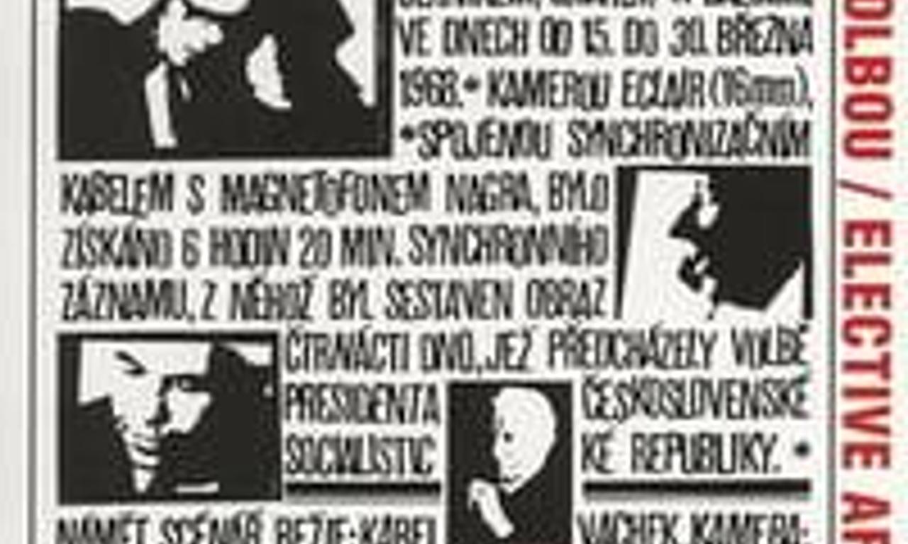 header image for Elective Affinities