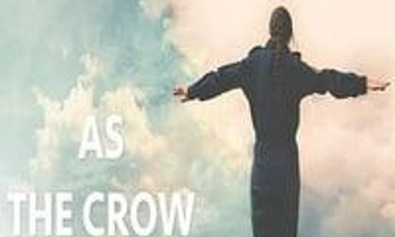 header image for As the Crow Flies