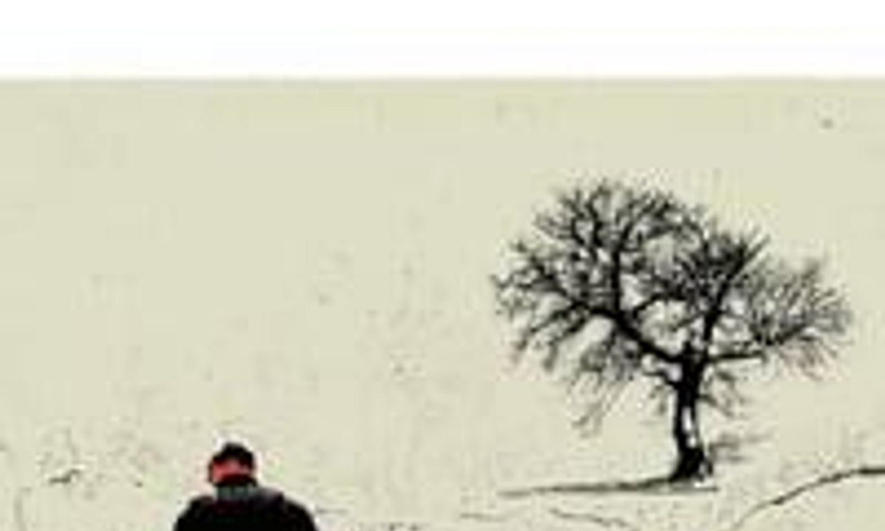 header image for Adelheid