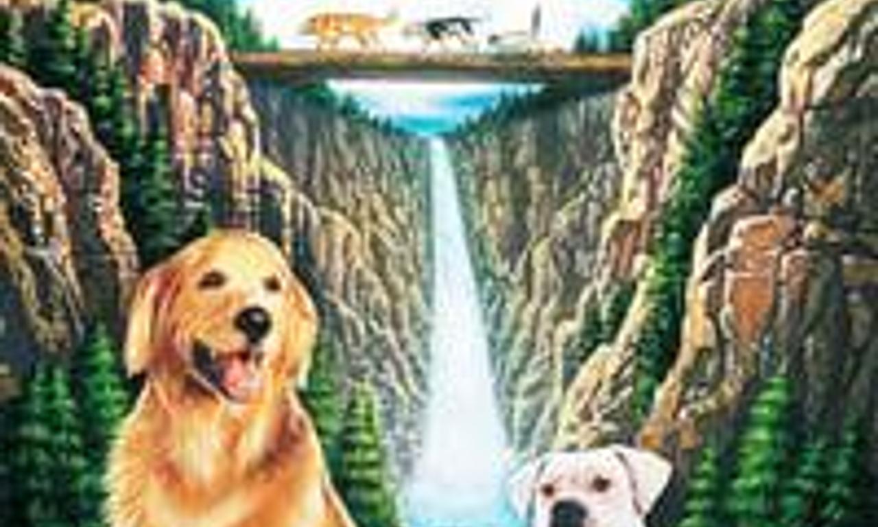 header image for Homeward Bound: The Incredible Journey