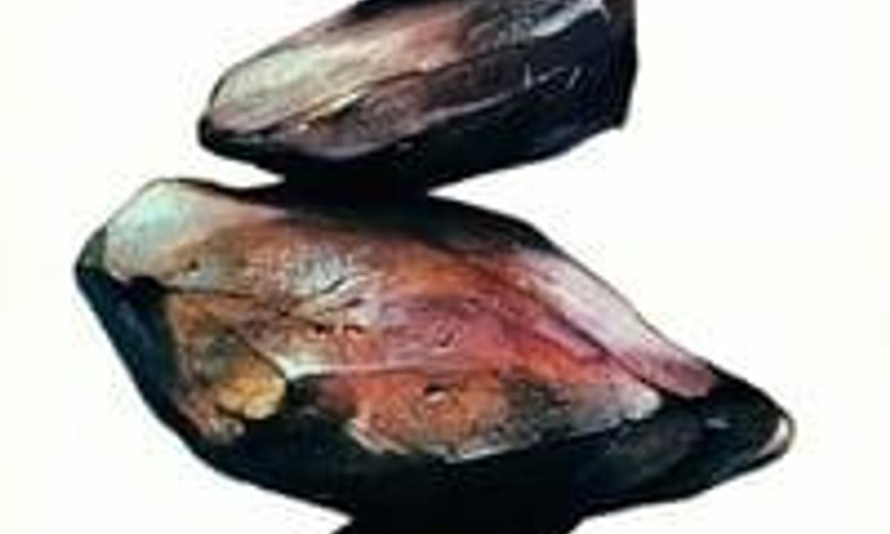 header image for Shadows