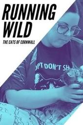 Running Wild: The Cats of Cornwall
