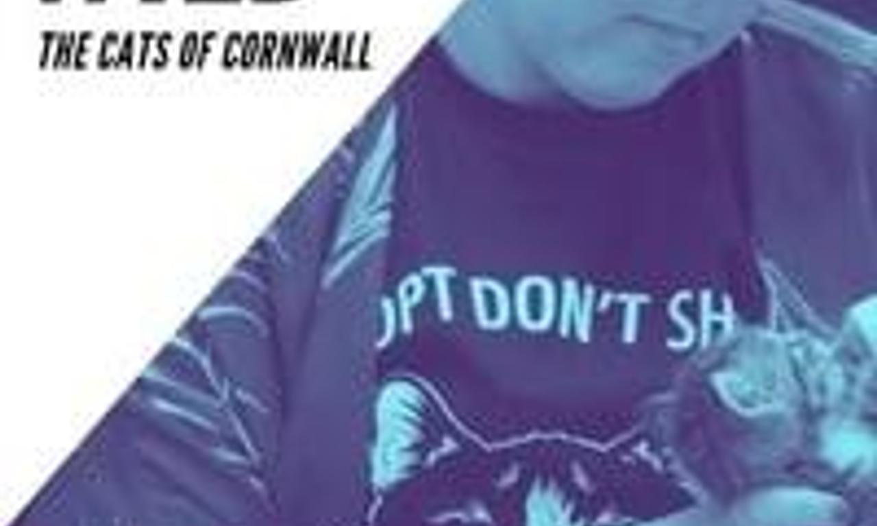 header image for Running Wild: The Cats of Cornwall