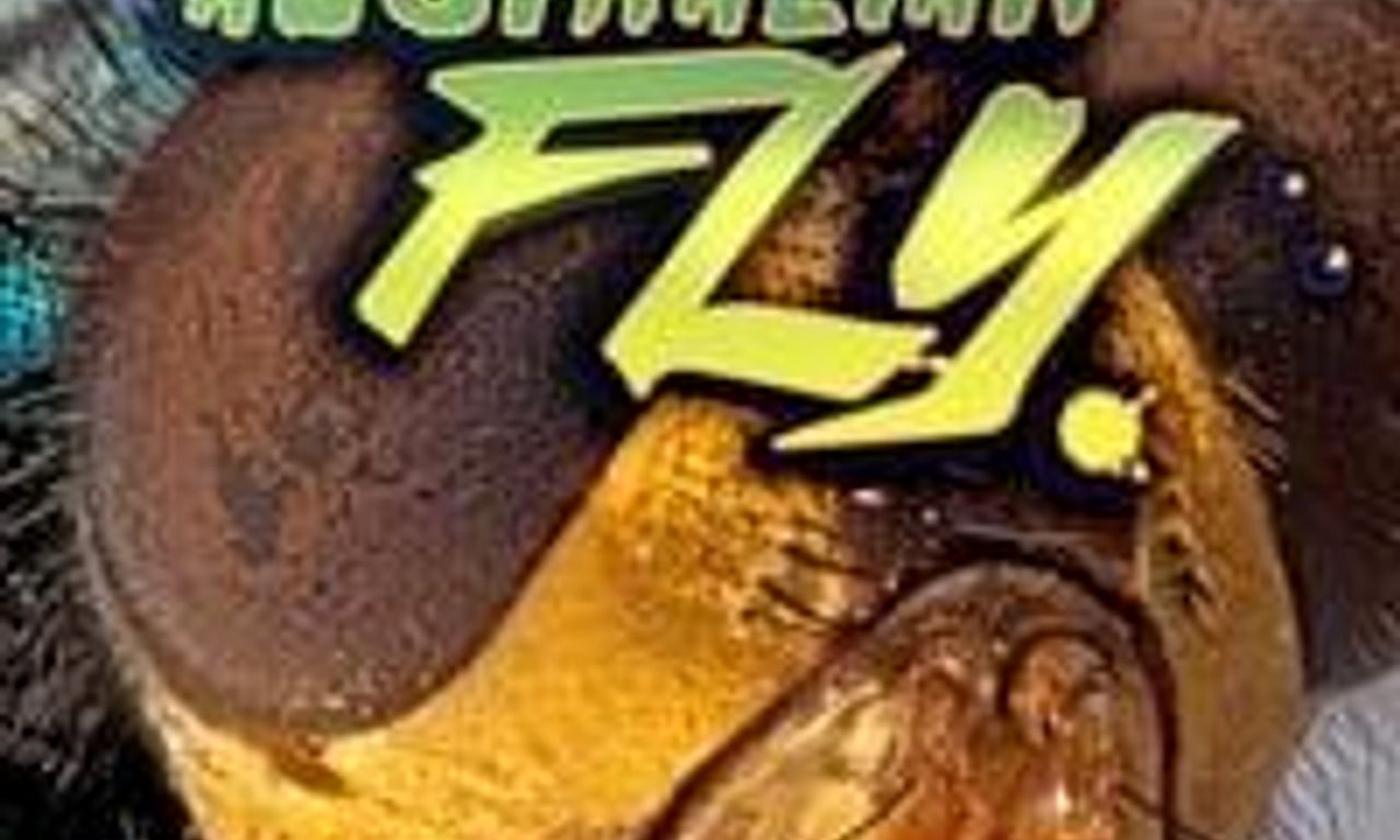 header image for The Great Australian Fly
