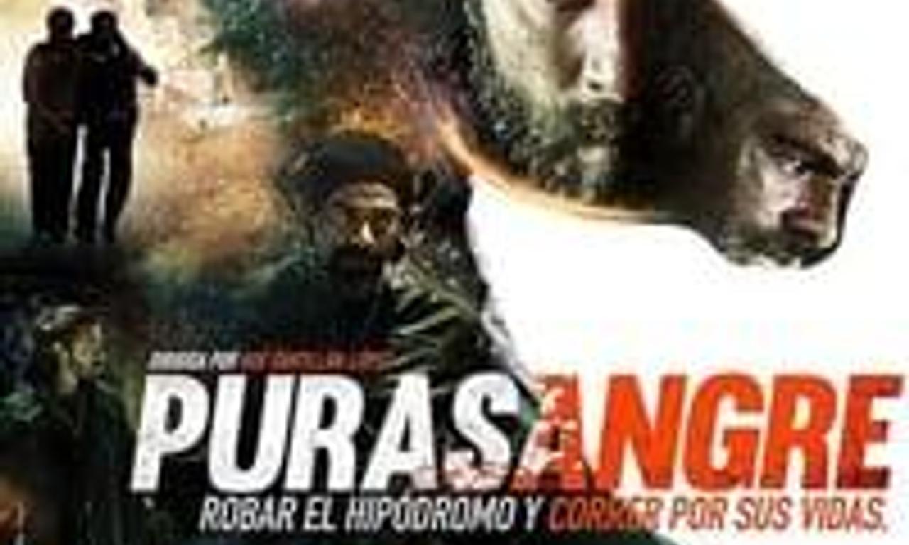 header image for Thoroughbred