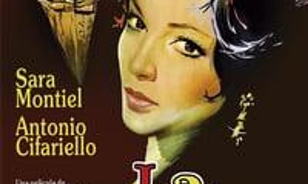 header image for The Lovely Lola