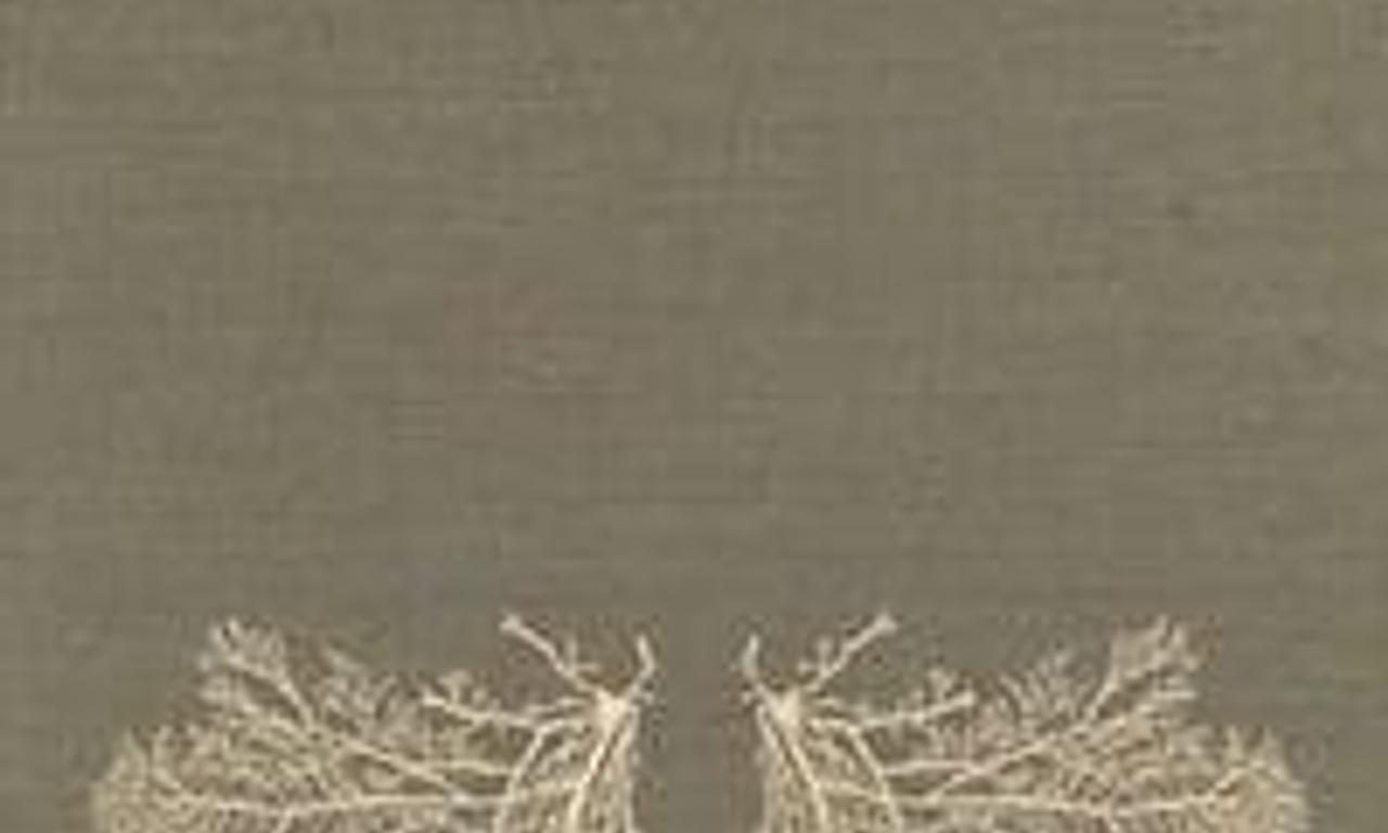 header image for The Blazing World